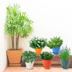 Plastic Cool Garden Planters for Home
