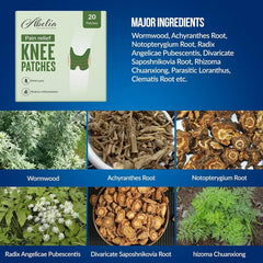 Herbal Knee Pain Relief Patches Arthritis Inflammation Patch Sticker
