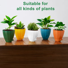 Plastic Cool Garden Planters for Home| Plant Container Set| Drip Trays Pots| Plastic Pots with Saucers (White)