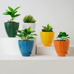 Plastic Cool Garden Planters for Home| Plant Container Set| Drip Trays Pots| Plastic Pots with Saucers (White)