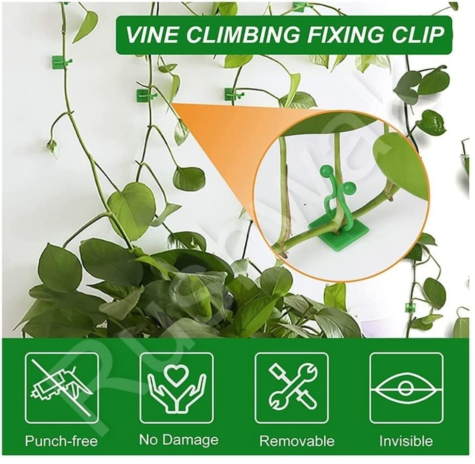 Wall Fixture Clips Plant Climbing Plant Fixer Self-Adhesive Hook Plant Vine Traction Invisible Wall Vines Fixture Wall Sticky Hook Vines Fixing Clip (Green)