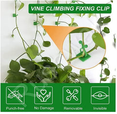 Wall Fixture Clips Plant Climbing Plant Fixer Self