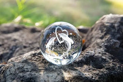 E 3D Dolphin Crystal Ball Night Lamp