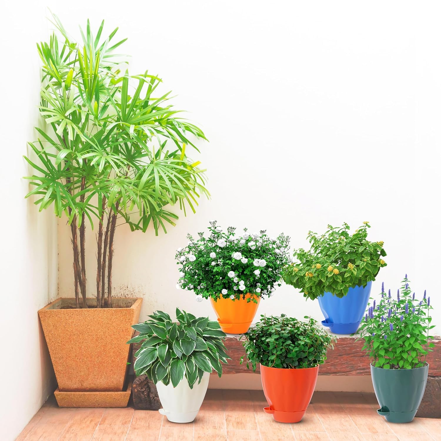 Plastic Cool Garden Planters for Home| Plant Container Set| Drip Trays Pots| Plastic Pots with Saucers (White)