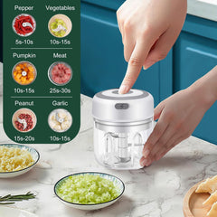 Rechargeable Mini Electric Chopper, Food Grade Bowl, Stainless Steel Blades, One Touch Operation, for Mincing Garlic, Ginger, Onion, Vegetable, Meat, Nuts, 250 ML