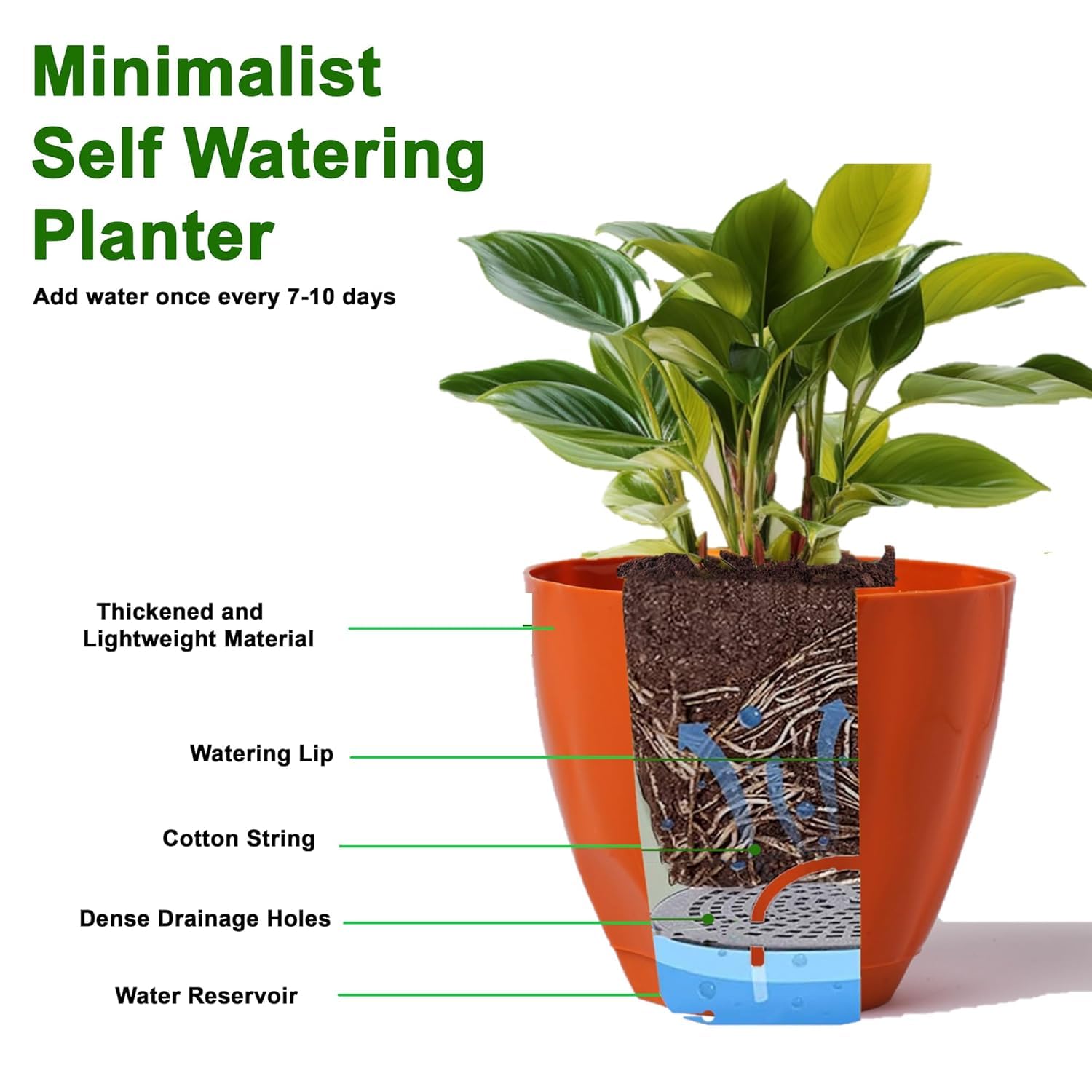 Plastic Cool Garden Planters for Home| Plant Container Set| Drip Trays Pots| Plastic Pots with Saucers (White)